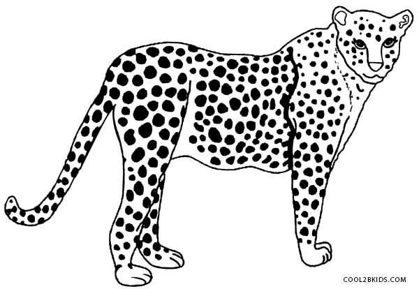 600x414 Printable Cheetah Coloring Pages For Kids Cool2bkids