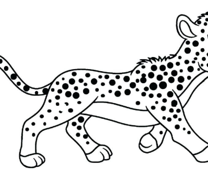 678x580 Cheetah Coloring Pages Drawn Cheetah Coloring Page 9 Pin Pencil