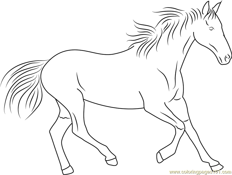 Horse Running Coloring Page 800x603 Horse Running Coloring Page