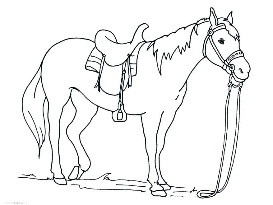 878x659 Horse Head Coloring Page Running Horse Coloring Pages Horse