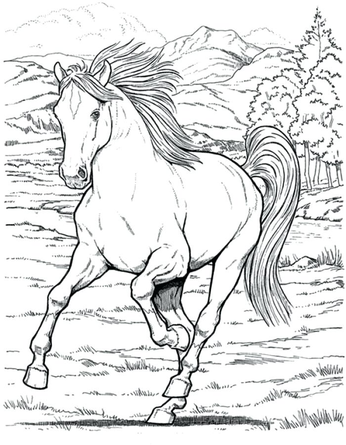 700x900 Realistic Horse Coloring Pages Running Horse Coloring Pages Adult