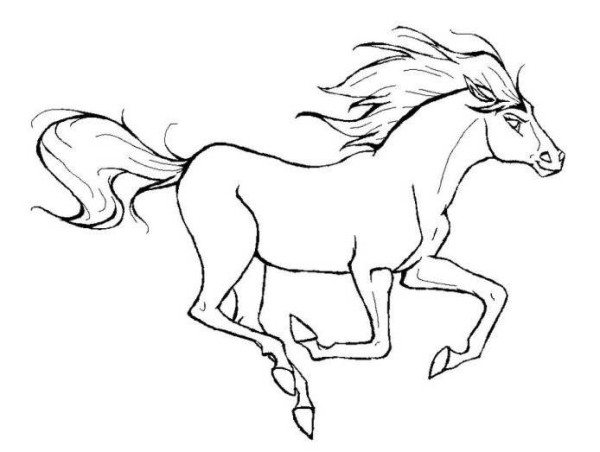 600x452 Running Horse Animal Coloring Page