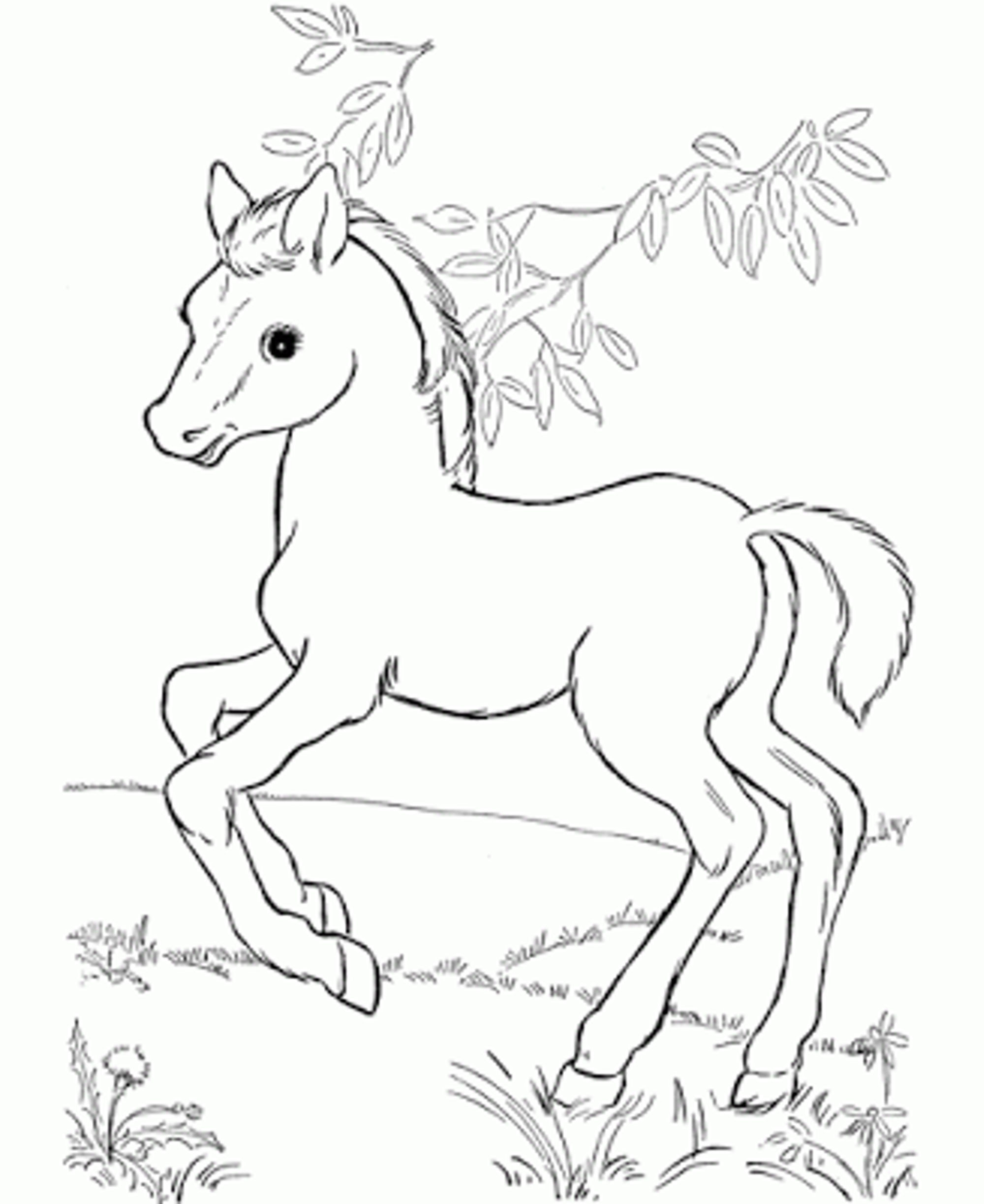 2000x2446 Running Horse Coloring Page Printable Pages Click The To View