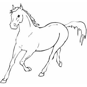 300x300 Running Horse Coloring Page