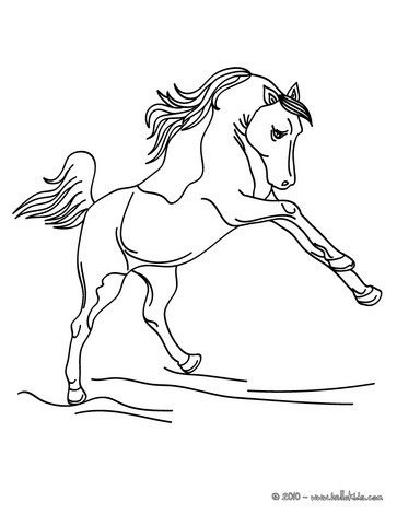 363x470 Wild Horse Coloring Page. Cute And Amazing Farm Animals Coloring
