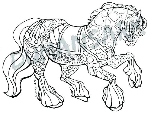 500x386 Horse Coloring Pages For Adults