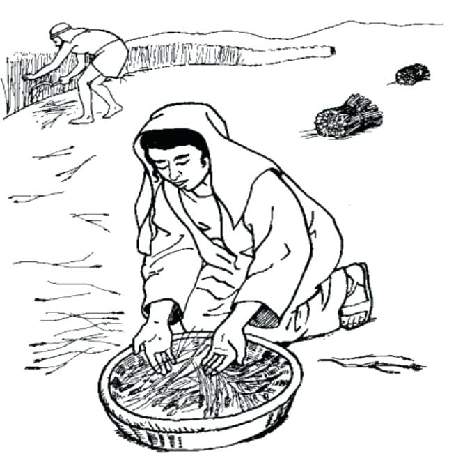 655x664 Ruth And Naomi Coloring Page And Kids Spot The Difference Ruth