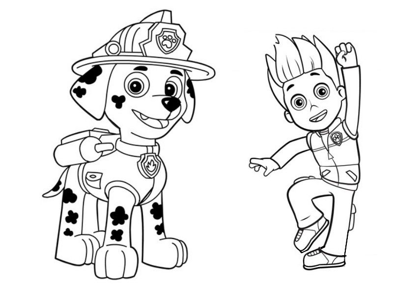 800x600 Marcus And Ryder Free Paw Patrols Paw Patrol