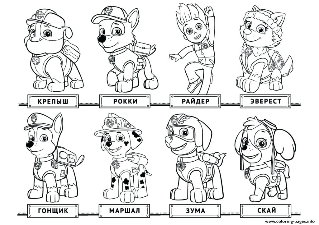 1024x724 Colouring Pages Paw Patrol Paw Patrol Coloring Page Kids Free