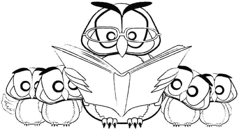 Sacagawea Coloring Pages Coloring Page Owl Printable Coloring 825x450 Sacagawea Coloring Pages Coloring Page Owl Printable Coloring
