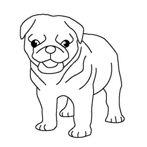 Plain Ideas Pug Coloring Pages Pug Puppy Coloring Page Color Luna 300x300 Plain Ideas Pug Coloring Pages Pug Puppy Coloring Page Color Luna