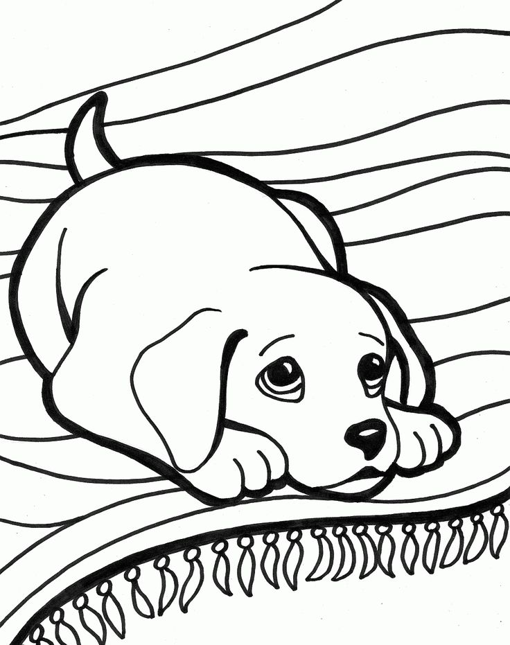 Pretty Pictures To Color Outstanding Cute Puppy Coloring Pages 80 736x931 Pretty Pictures To Color Outstanding Cute Puppy Coloring Pages 80