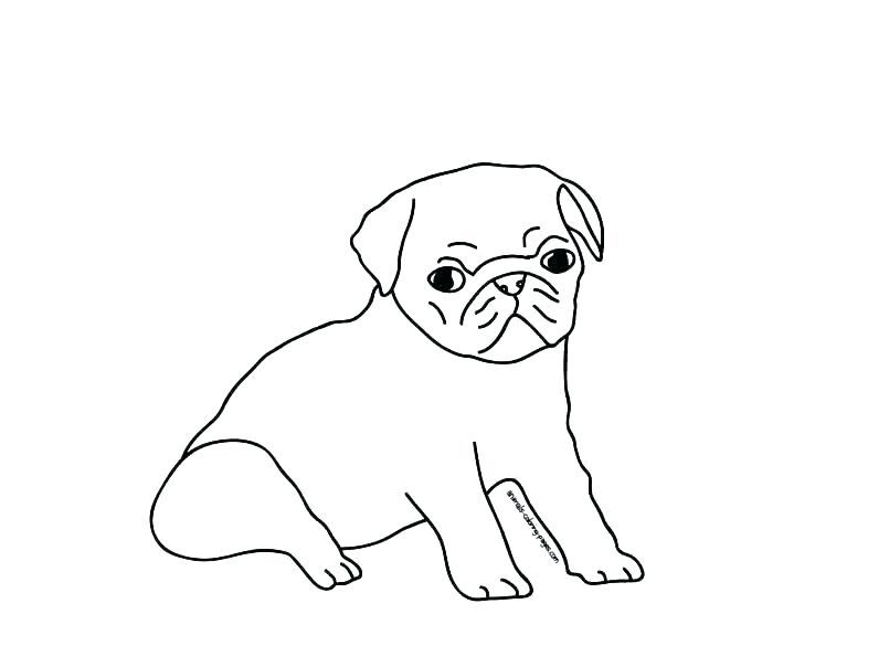 Pug Coloring Pages Printable Pug Coloring Pages Pug Puppy Coloring 805x604 Pug Coloring Pages Printable Pug Coloring Pages Pug Puppy Coloring