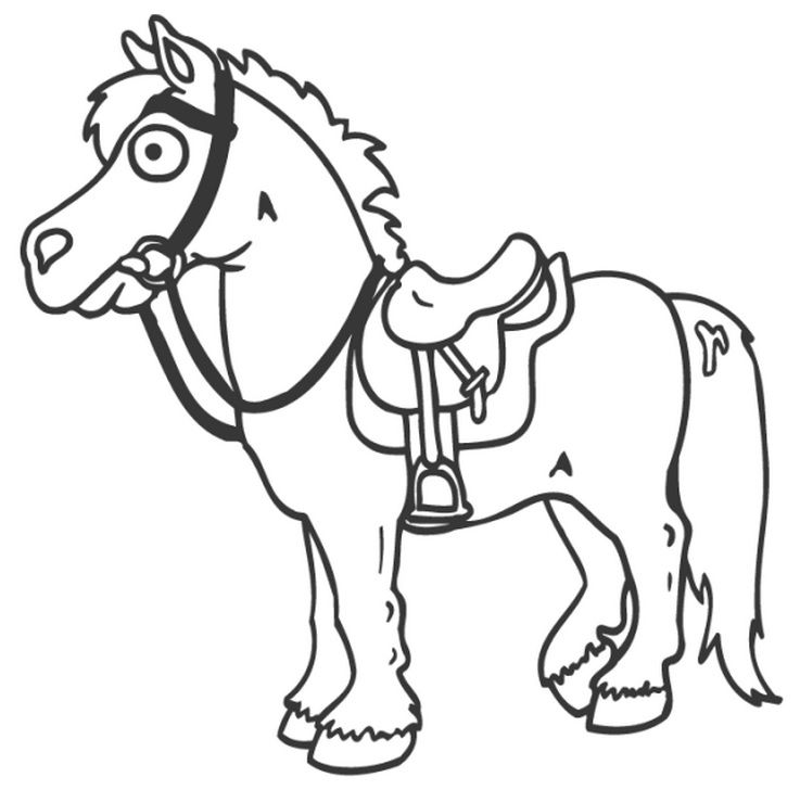 Horse With Saddle Horses Saddles 737x740 Horse With Saddle Horses Saddles