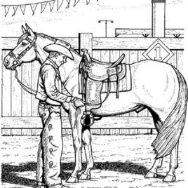 Coloring Pages Of Horse Saddles Archives 268x268 Coloring Pages Of Horse Saddles Archives