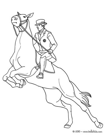 Equestrian Coloring Pages 364x470 Equestrian Coloring Pages
