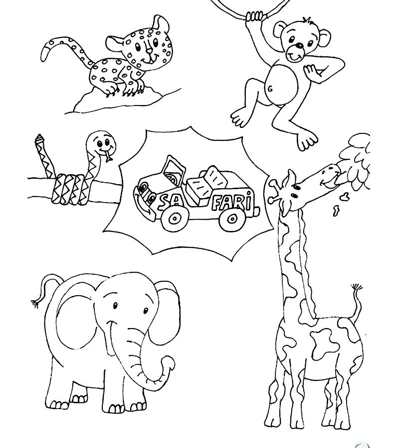 Printable Animals Coloring Pages Forest Animals Coloring Pages 794x900 Printable Animals Coloring Pages Forest Animals Coloring Pages