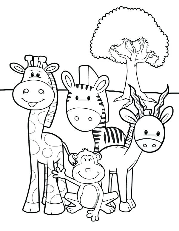 Safari Animals Coloring Pages Beautiful Animal Coloring Pages 600x776 Safari Animals Coloring Pages Beautiful Animal Coloring Pages