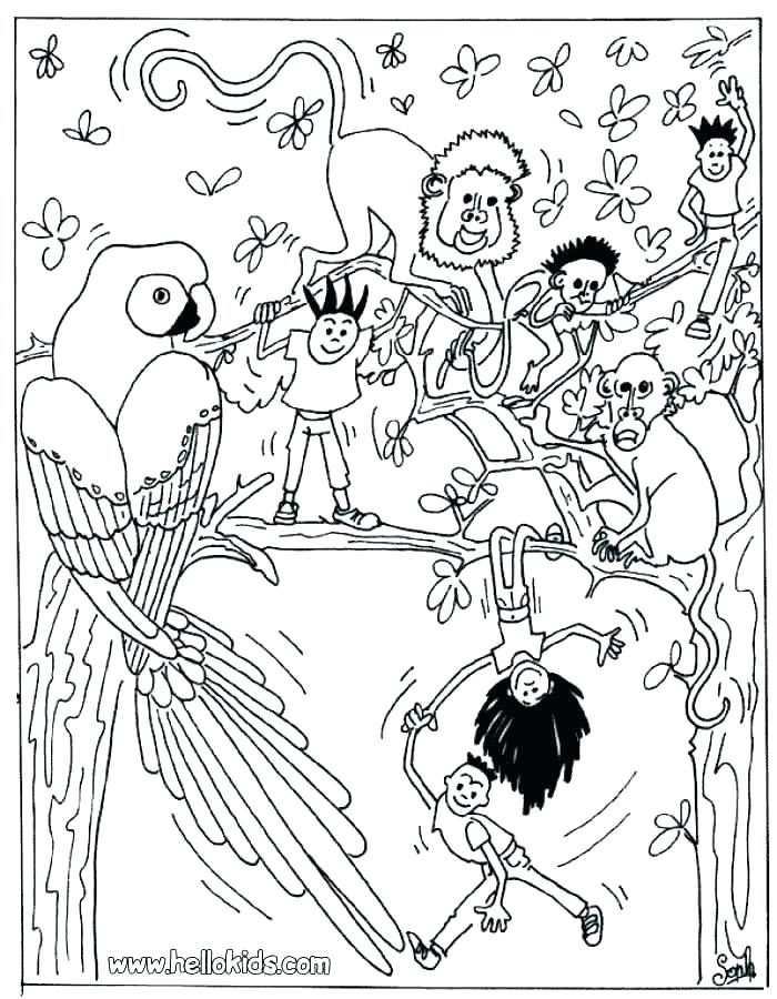 Safari Coloring Pages Safari Coloring Page Coloring Pages Animals 700x900 Safari Coloring Pages Safari Coloring Page Coloring Pages Animals