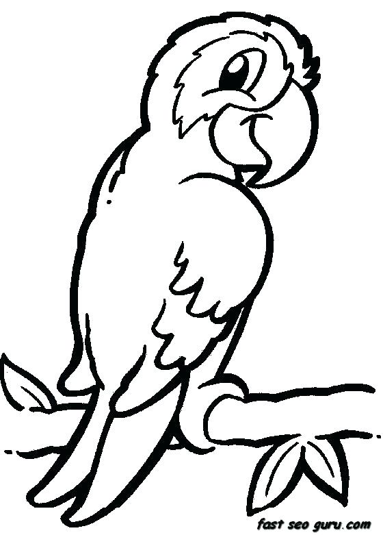 Safari Coloring Pages 560x781 Safari Coloring Pages