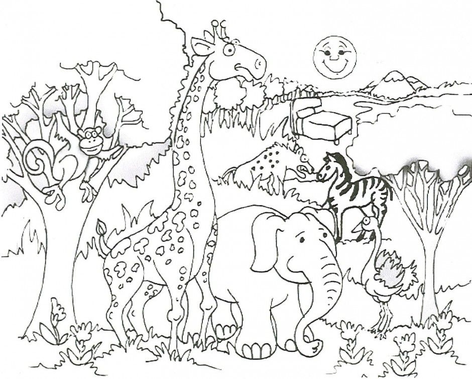 Safari Coloring Page Coloring Pages Safari Animals Free 940x755 Safari Coloring Page Coloring Pages Safari Animals Free