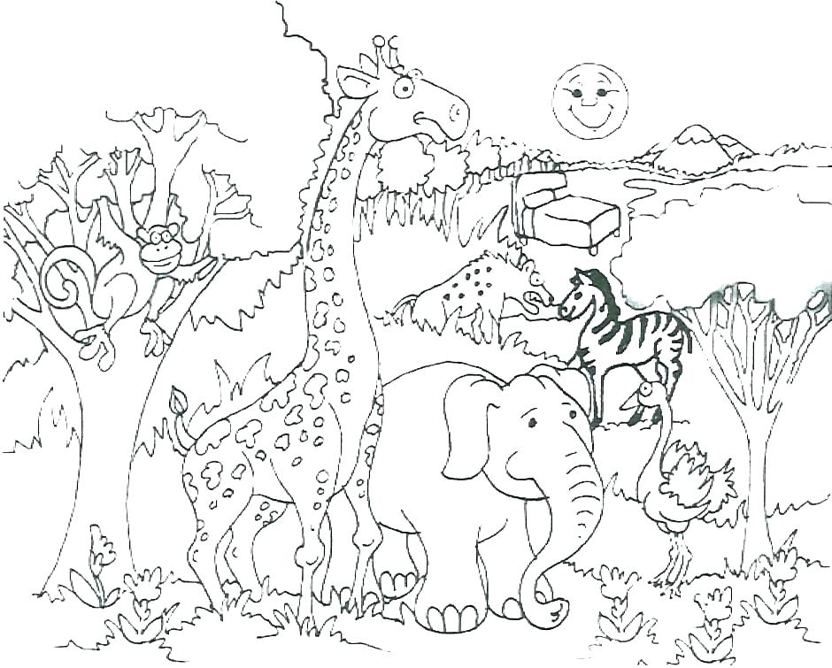 Coloring Pages Of Jungle Animals Jungle Animals Coloring Page 940x755 Coloring Pages Of Jungle Animals Jungle Animals Coloring Page