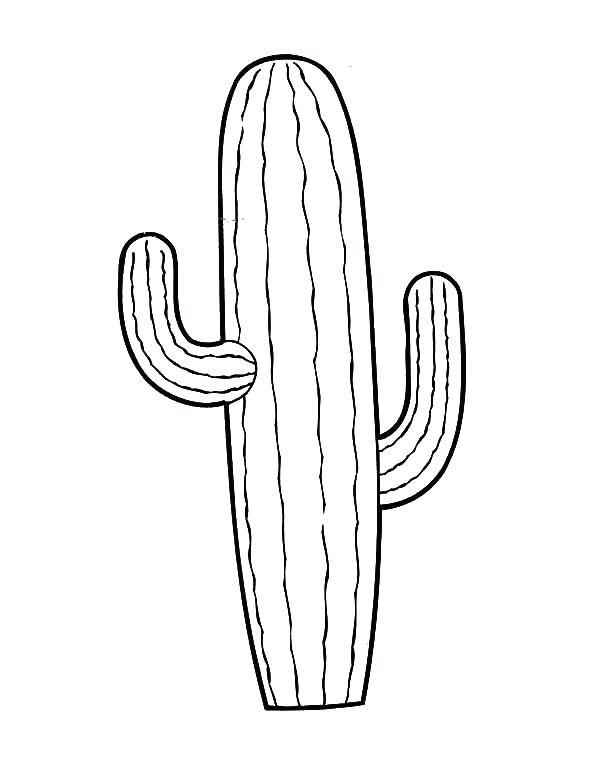 600x758 Cactus Coloring Pages Saguaro Cactus Coloring On Drawn Cactus Om