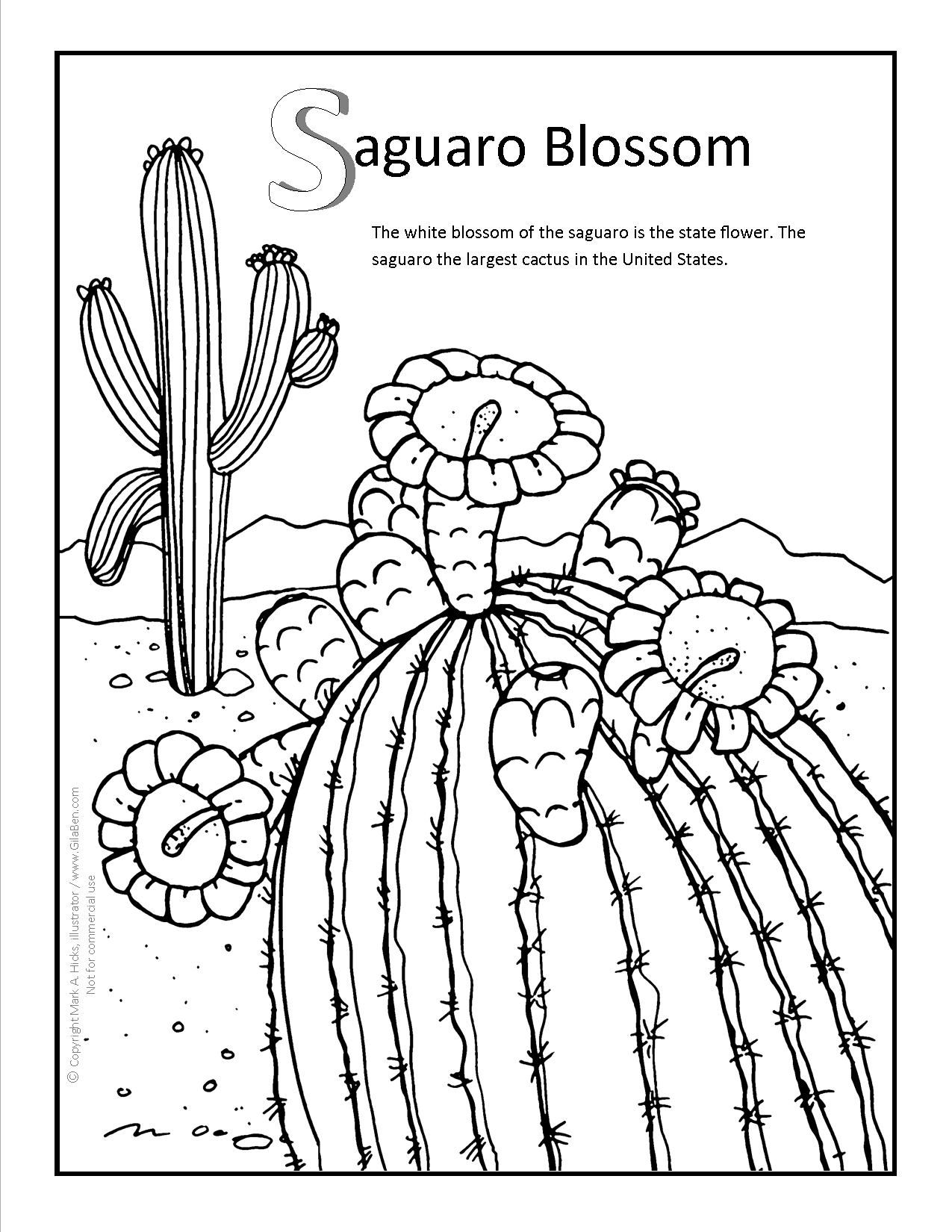 1275x1650 Stunning Saguaro Cactus Coloring Page 82 For Your With Saguaro