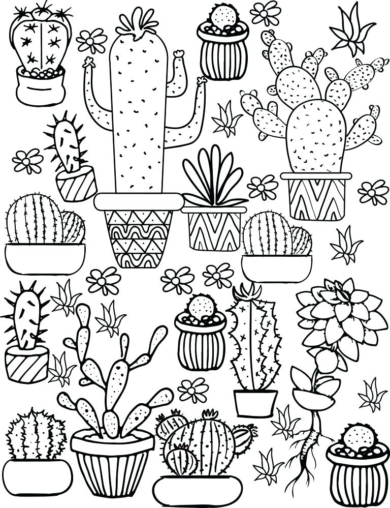768x999 Cactus Coloring Pages