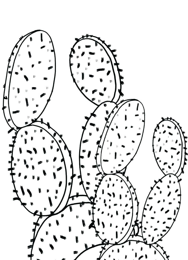 743x1024 Cactus Coloring Page Saguaro Cactus Coloring Page How To Draw