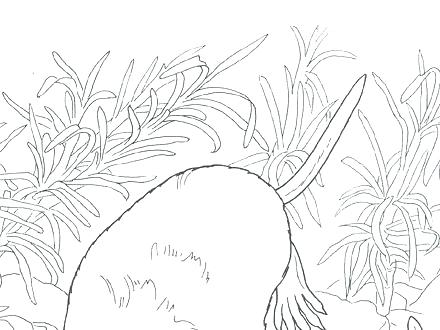 Desert Coloring Pages Top Rated Desert Coloring Pages Images 440x330 Desert Coloring Pages Top Rated Desert Coloring Pages Images