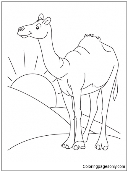 Sahara Desert Coloring Page 433x582 Sahara Desert Coloring Page