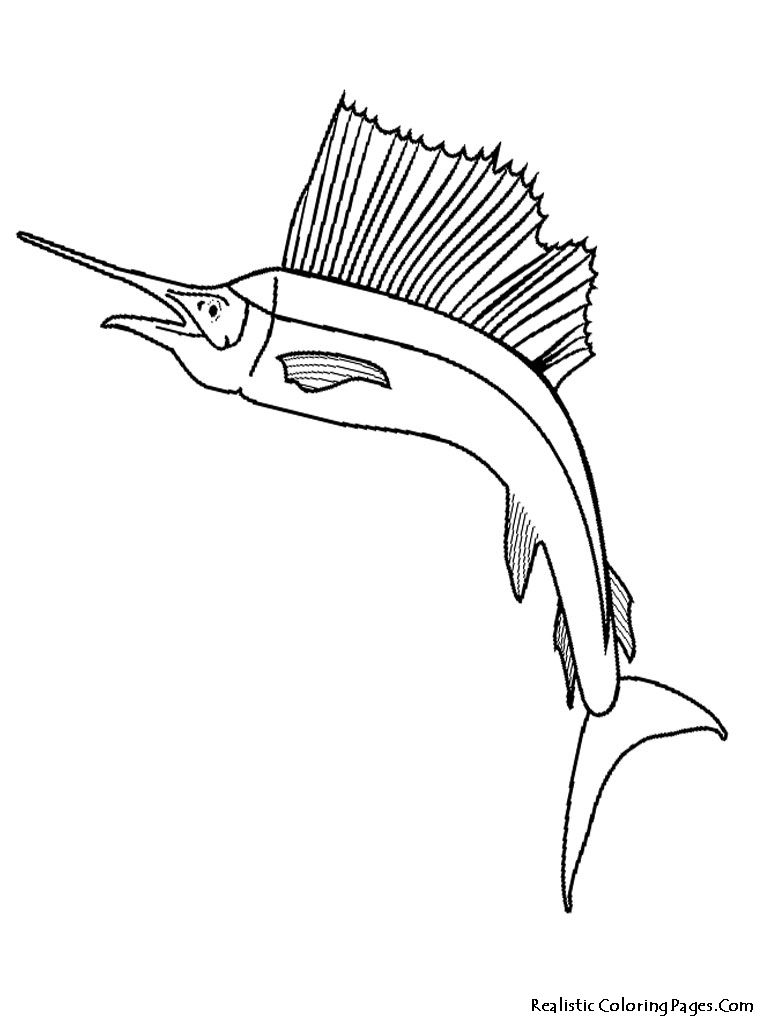 768x1024 Sailfish Tropical Fish Coloring Pages Realistic