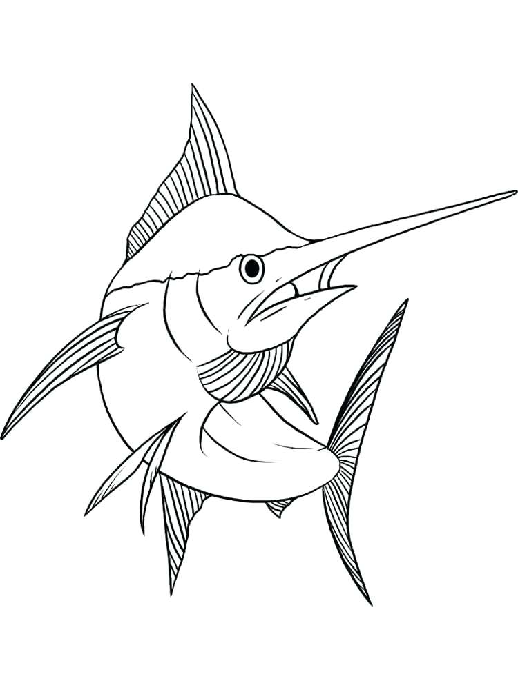 750x1000 Swordfish Coloring Page Sailfish Is A Swordfish Coloring Page Top
