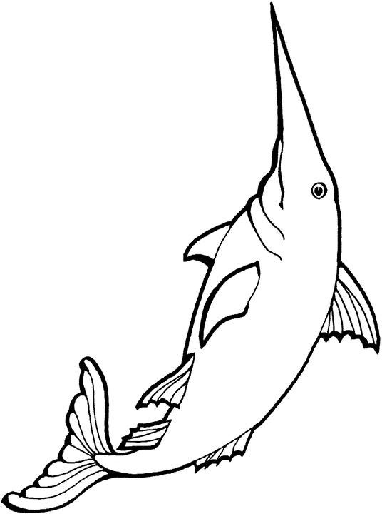 536x720 Swordfish Coloring Pages