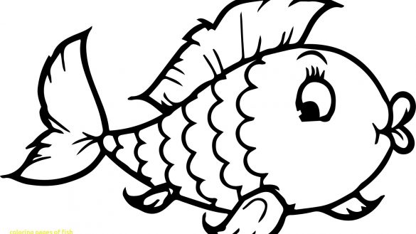 585x329 Atlantic Sailfish Coloring Pages Fish