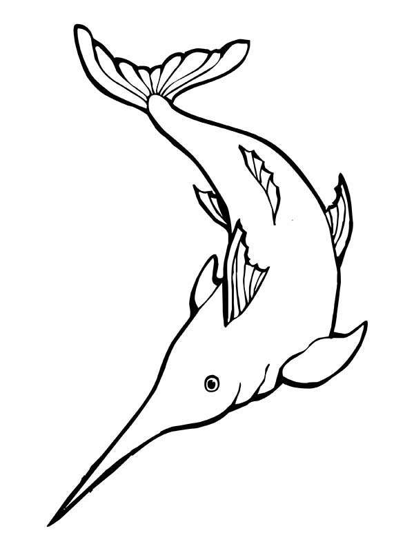 600x776 Awesome Drawing Of Sailfish Swordfish Coloring Page Color Luna