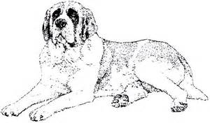 300x176 St. Bernard Coloring, Download St. Bernard Coloring