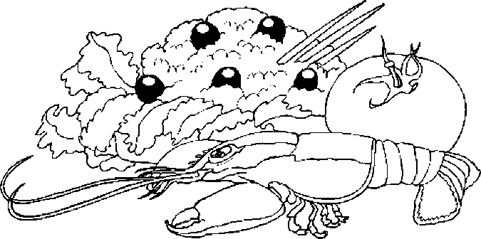 675x336 Seafood Salad Coloring Page