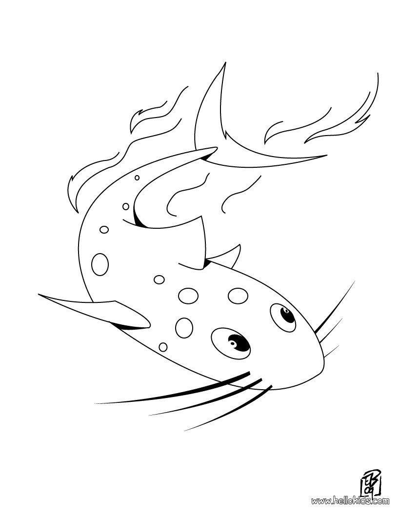 Mexican Salamander Coloring Pages 820x1060 Mexican Salamander Coloring Pages