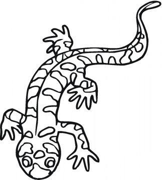 Salamander Coloring Sheet Naturalist And Arts And Crafts Ideas 323x360 Salamander Coloring Sheet Naturalist And Arts And Crafts Ideas
