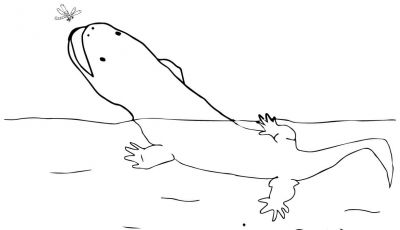 Awesome Puffin Coloring Page Collection Printable Coloring Sheet 400x230 Awesome Puffin Coloring Page Collection Printable Coloring Sheet