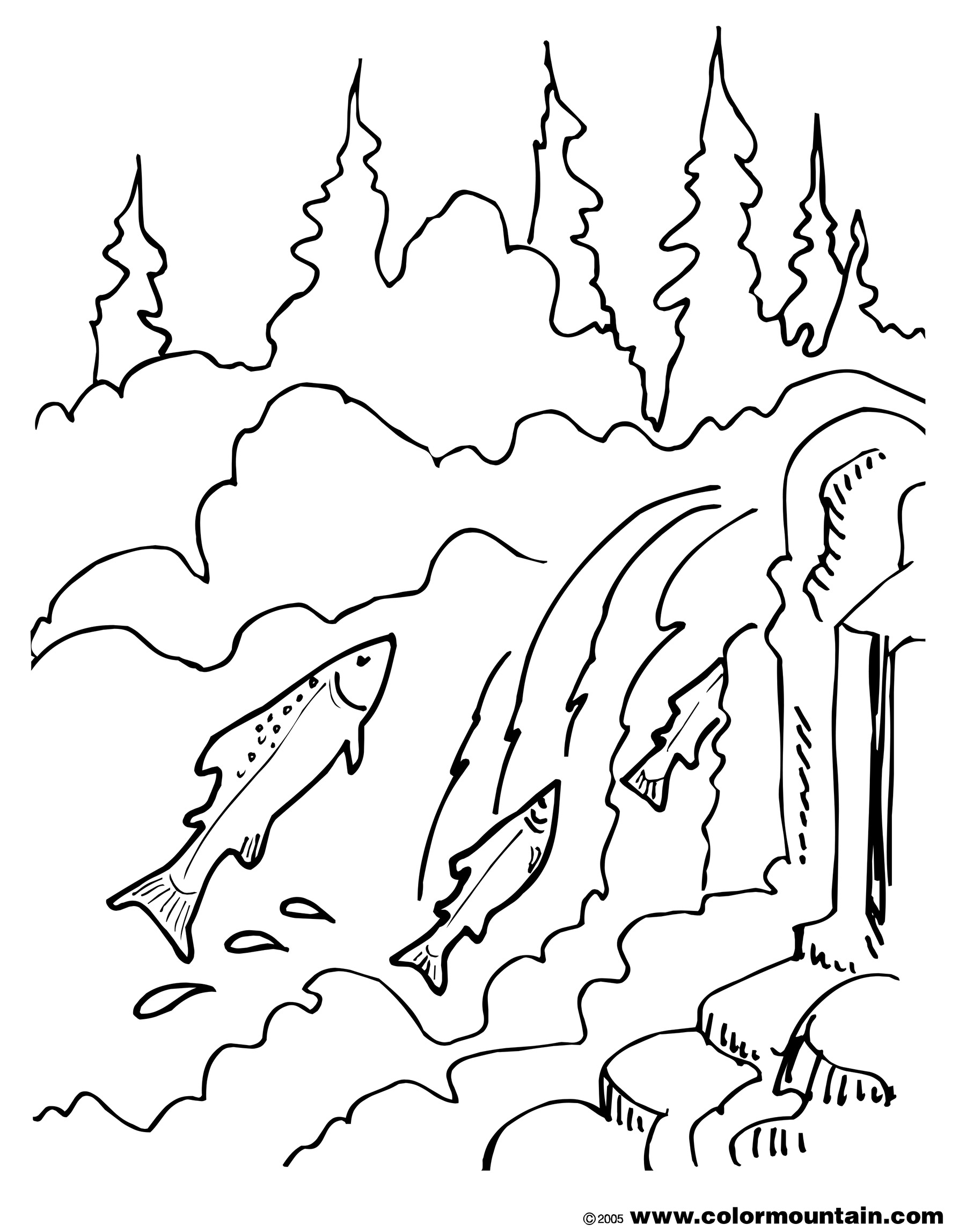 Modest Chinook Salmon Coloring Page Drawing Image At Getdrawings 1800x2294 Modest Chinook Salmon Coloring Page Drawing Image At Getdrawings