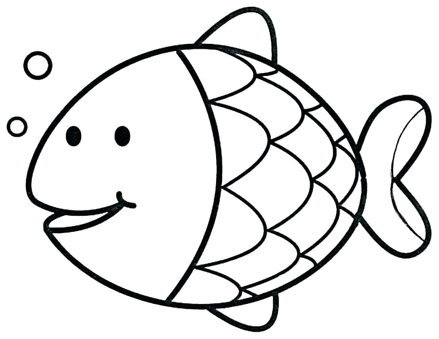 Salmon Coloring Page Salmon Salmon Life Cycle Coloring Pages 900x696 Salmon Coloring Page Salmon Salmon Life Cycle Coloring Pages
