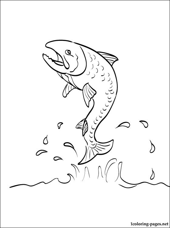 Salmon Coloring Page Coloring Pages 560x750 Salmon Coloring Page Coloring Pages