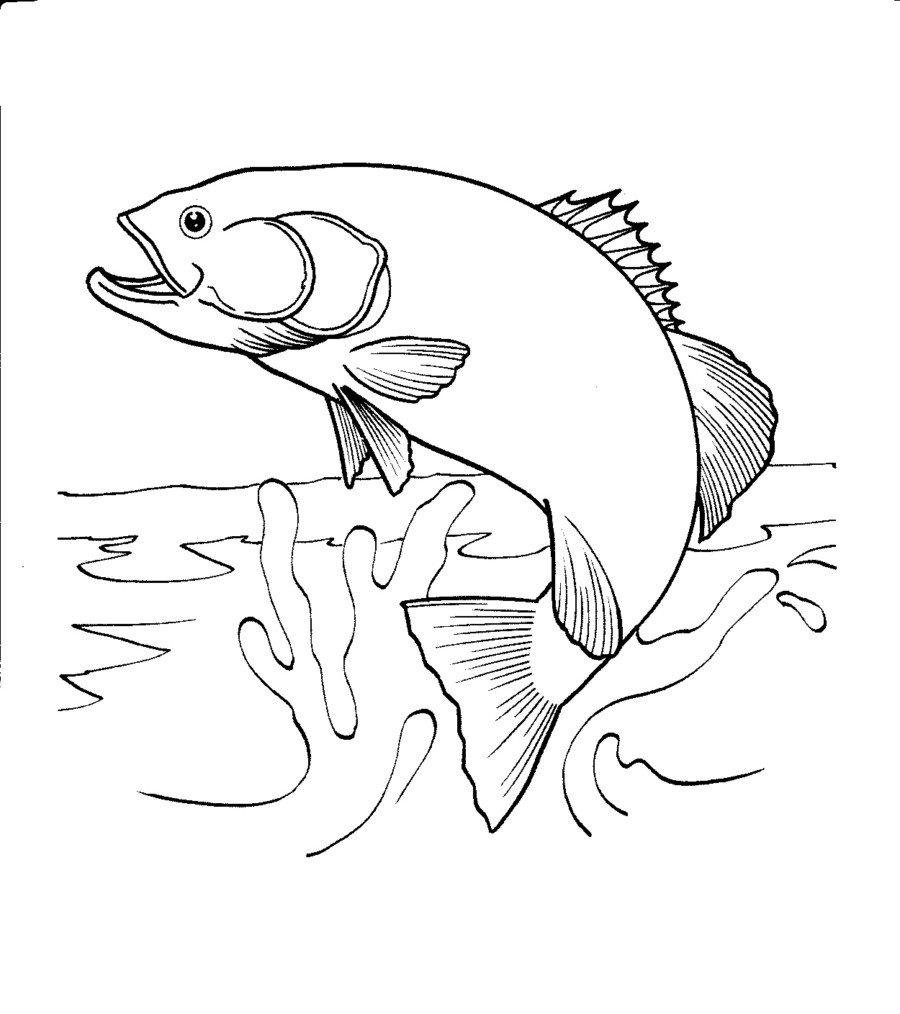 Salmon Jumping Out Of Water Coloring Page 900x1014 Salmon Jumping Out Of Water Coloring Page