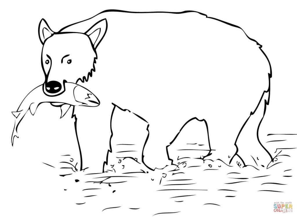 Brown Bear Catch The Salmon New Coloring Page 1024x748 Brown Bear Catch The Salmon New Coloring Page
