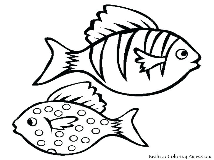 728x546 Clown Fish Coloring Pages Printable Realistic Fish Coloring Pages