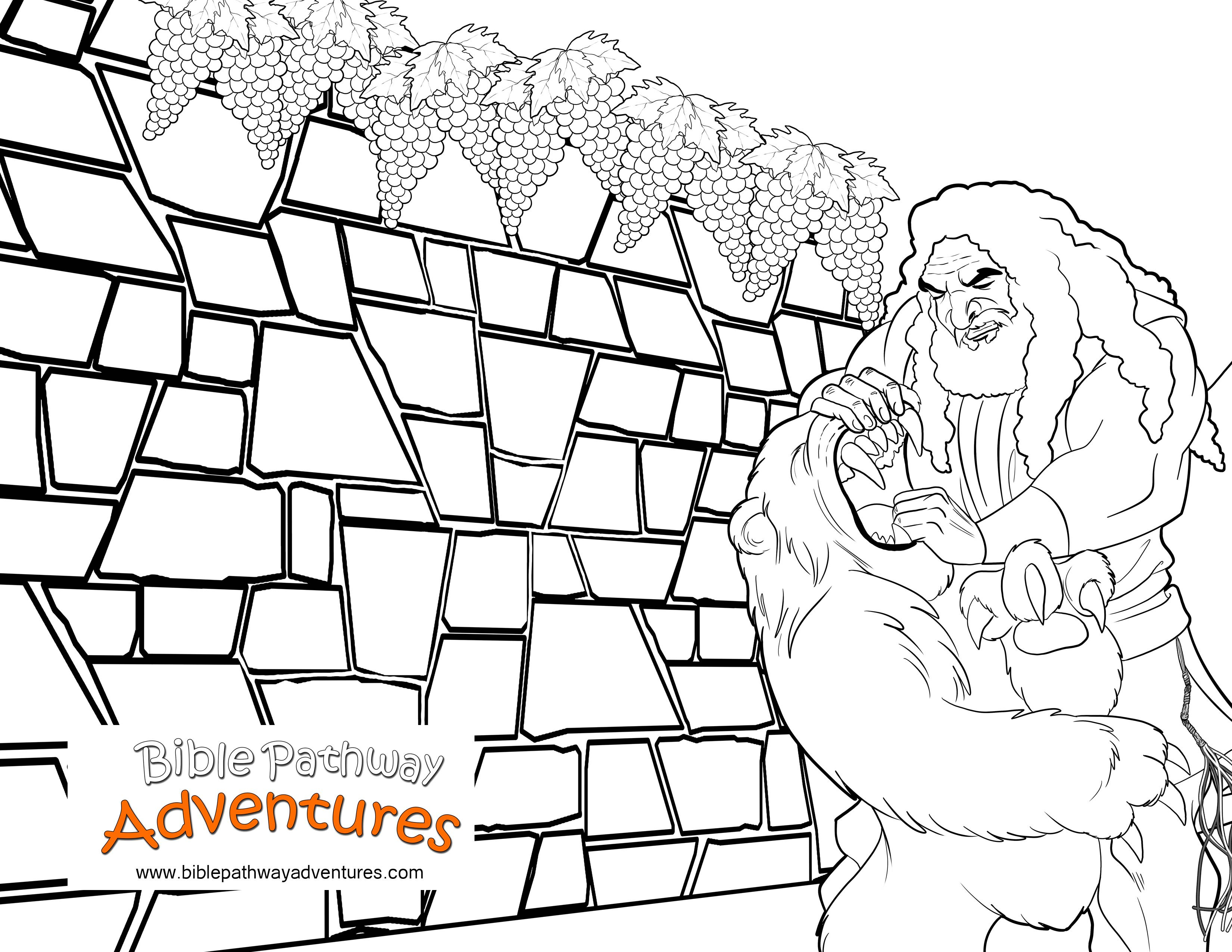 Bible Coloring Page Samson And The Lion Free Download 3300x2550 Bible Coloring Page Samson And The Lion Free Download