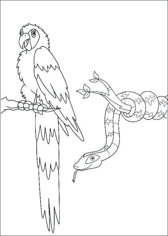 567x794 Chargers Coloring Pages Daytona Charger Coloring Pages